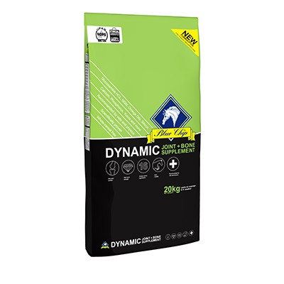 Blue Chip Balancer Dynamic