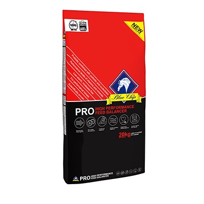 Blue Chip Balancer Pro