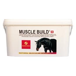 Muscle Build