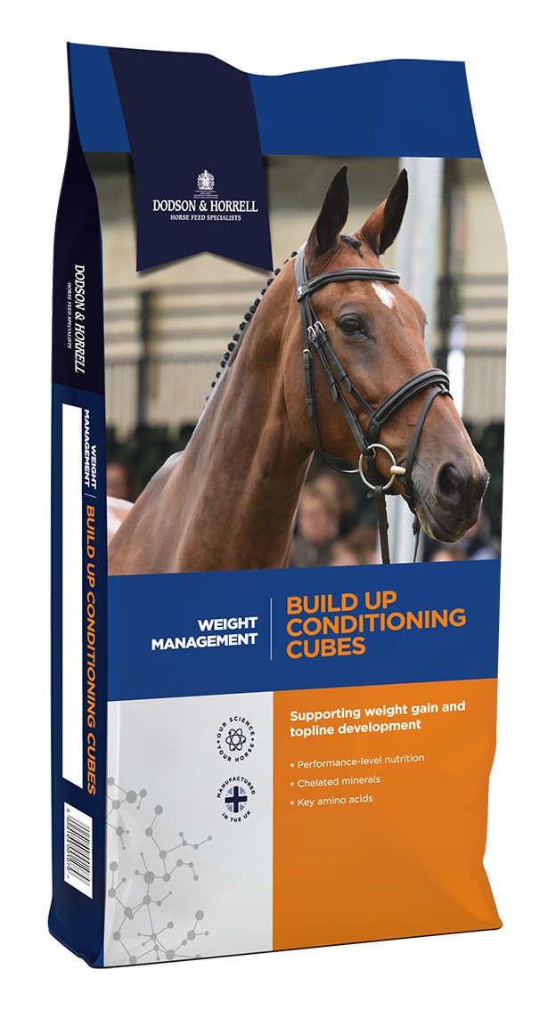 Build Up Conditioning Cubes