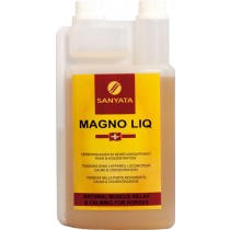MAGNO LIQ 1 L