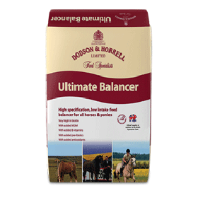 Ultimate Balancer 20 kg