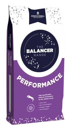 Performance Balancer