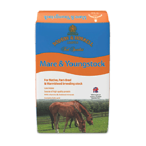 Mare & Youngstock