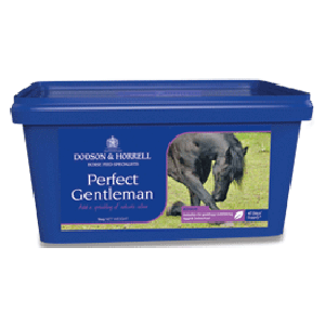 Perfect Gentleman