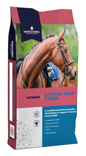 Sixteen Plus Cubes